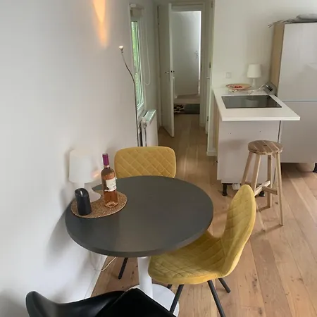 게스트하우스 Tiny Houseboat On The Amstel River 4*