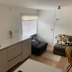 Tiny Houseboat On The Amstel River 4* Amsterdam